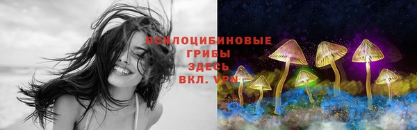 ешки Каменка