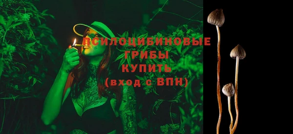 альфа пвп Каменногорск