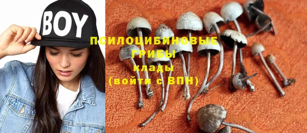 альфа пвп Каменногорск