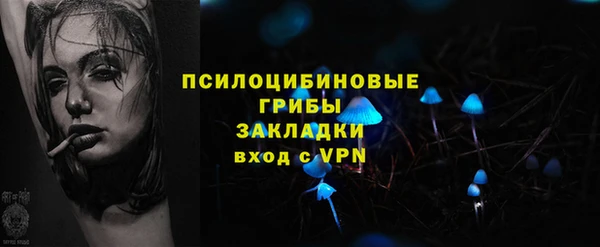 альфа пвп Каменногорск