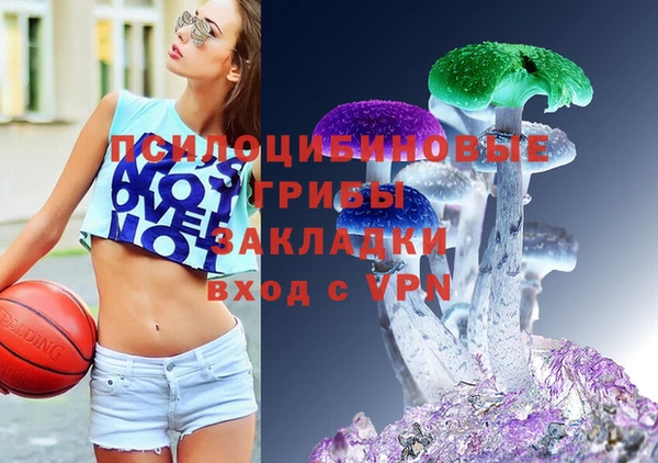 ешки Каменка